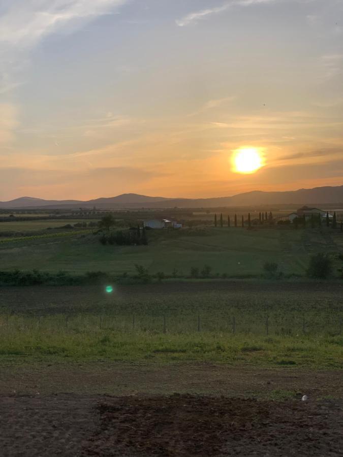 Vila Il Poggio Di Musignano Musignano  Exteriér fotografie