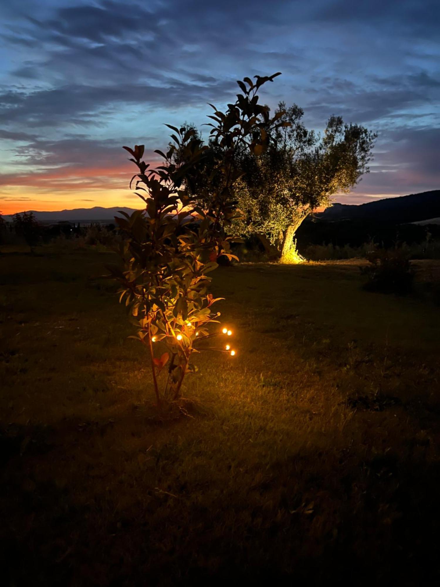 Vila Il Poggio Di Musignano Musignano  Exteriér fotografie