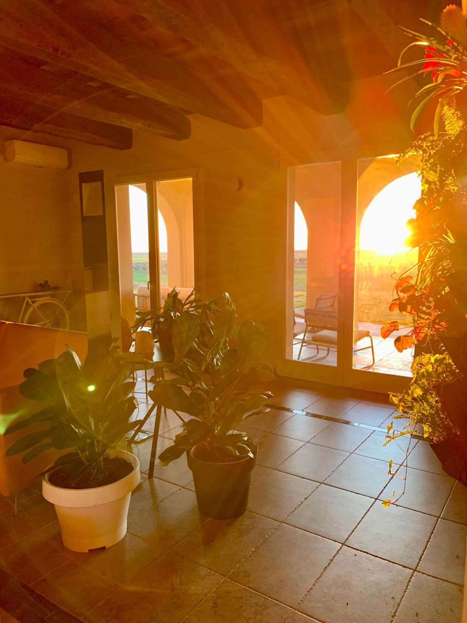 Vila Il Poggio Di Musignano Musignano  Exteriér fotografie